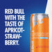 Red Bull Summer Edition 12x355ml