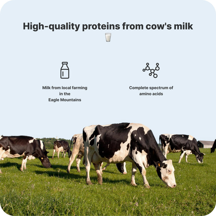 Vilgain Protein Milkshake 12x330ml