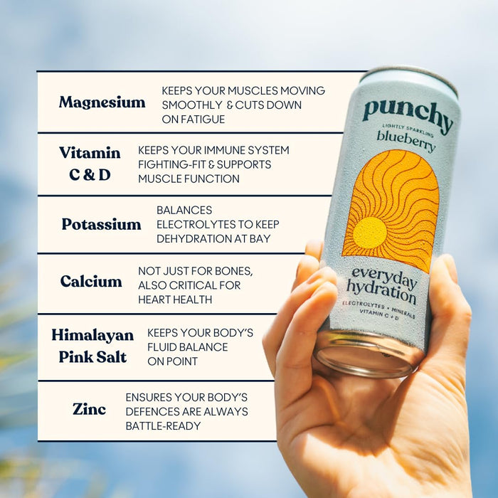 Punchy Hydration 12 x 330ml