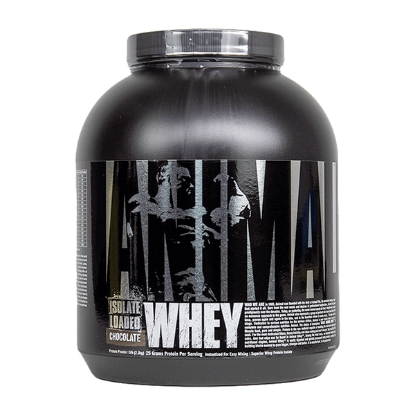 Animal Whey 2.27kg: Premium Whey Protein for Strength Training - Chocolate - Supplements at MySupplementShop by Animal